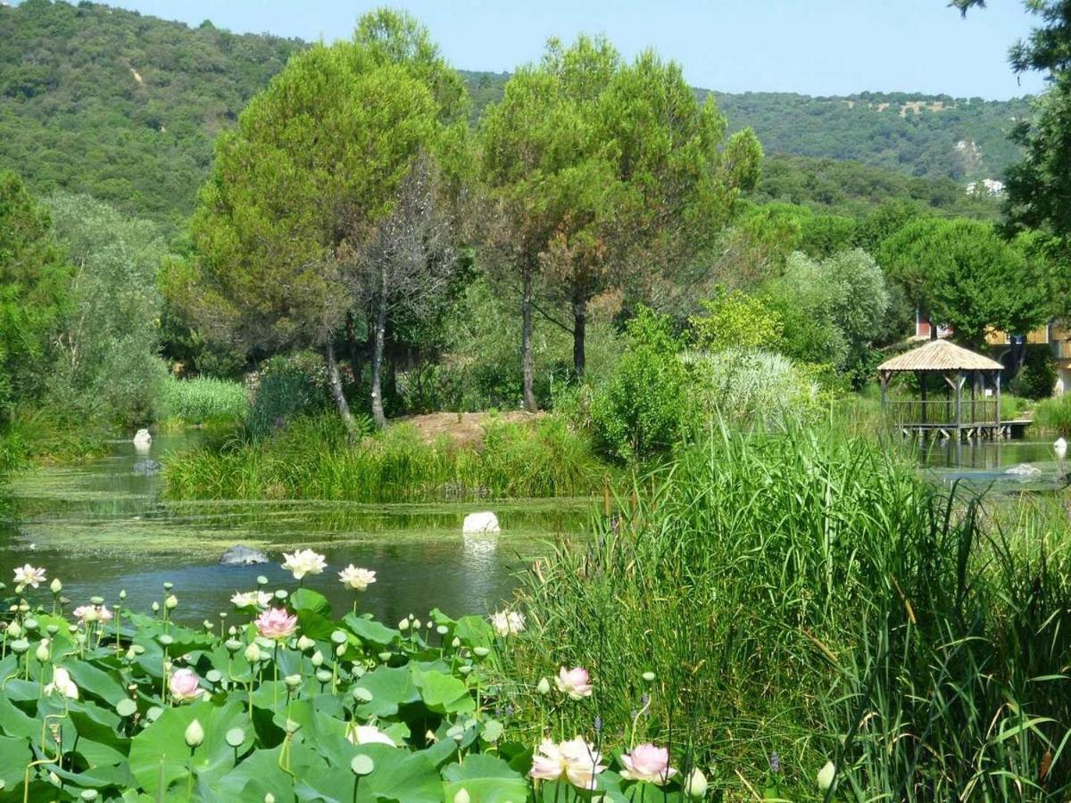 LES RESTANQUES vue mer et jardin accès piscine Grimaud Esterno foto