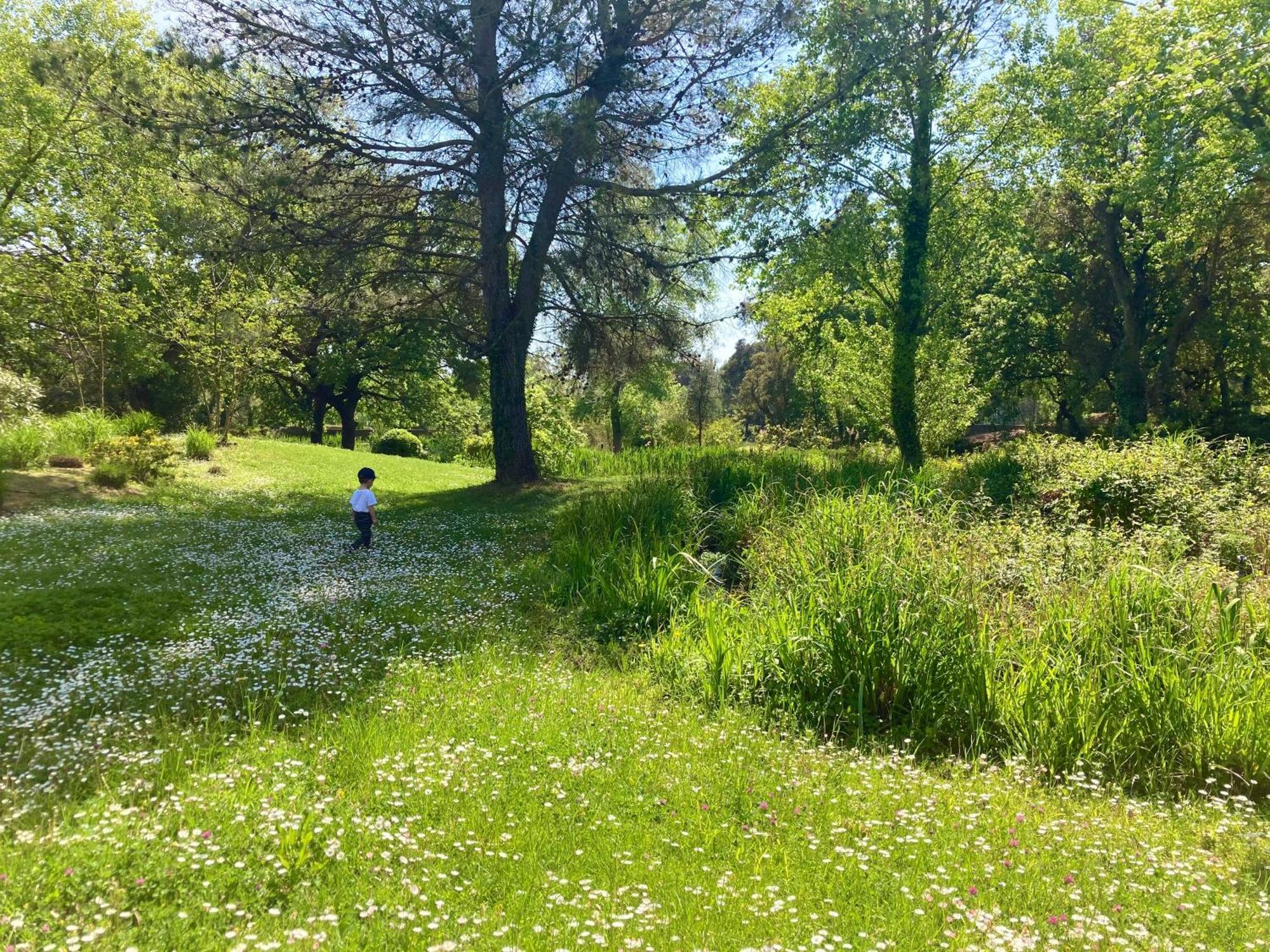 LES RESTANQUES vue mer et jardin accès piscine Grimaud Esterno foto