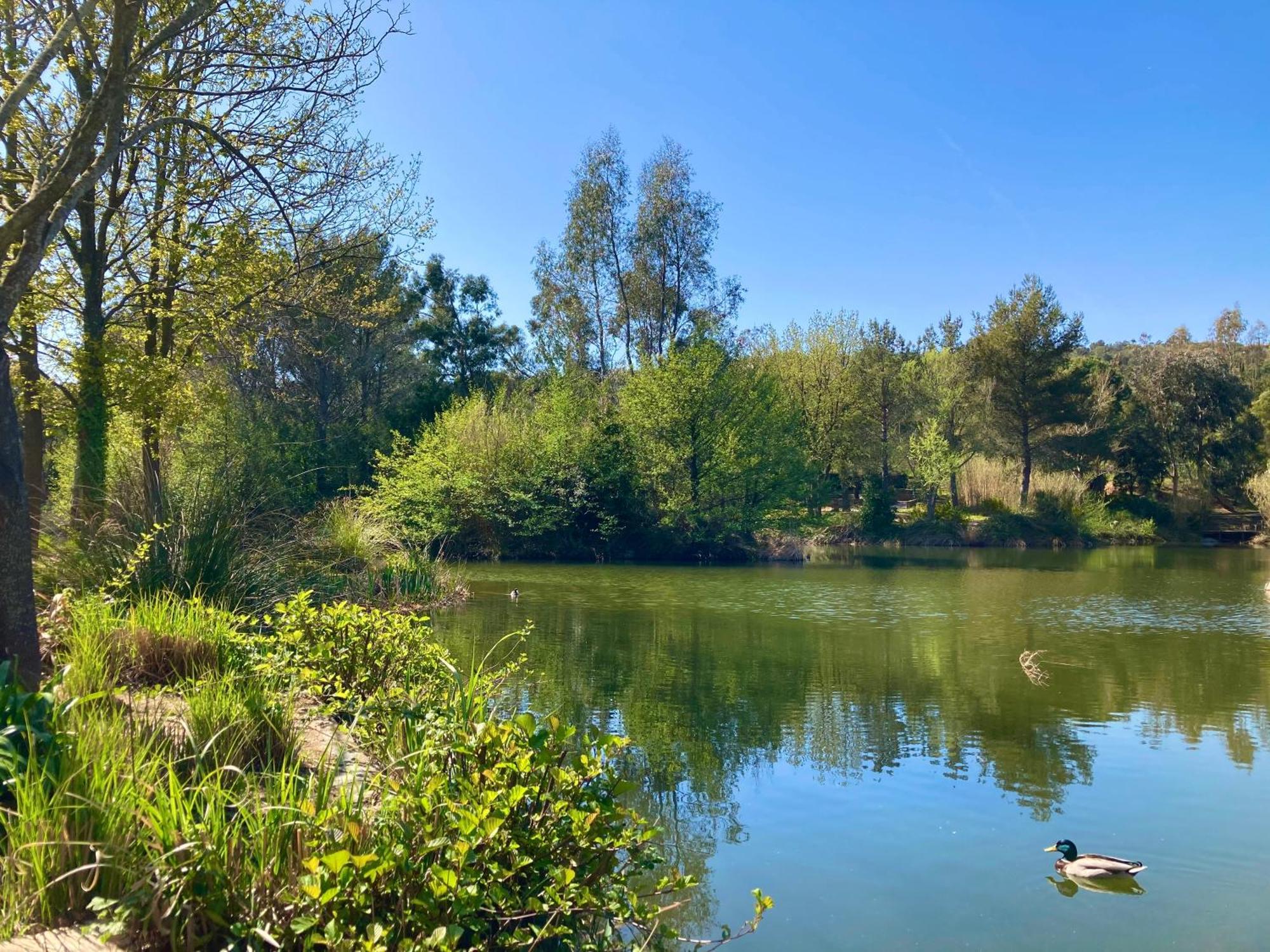 LES RESTANQUES vue mer et jardin accès piscine Grimaud Esterno foto